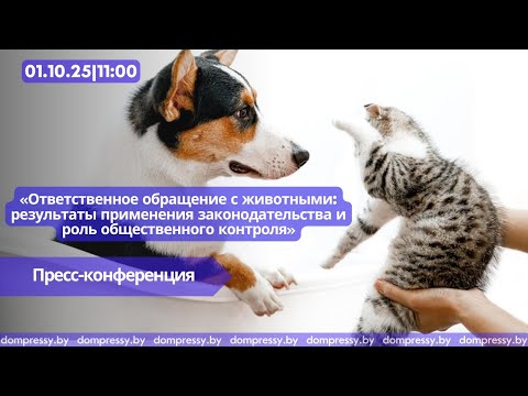 Видео: Ответственное обращение с животными: применение законодательства и роль общественного контроля