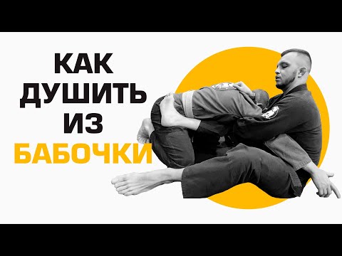 Видео: Удушающий прием из бабочки - основы бразильского джиу-джитсу