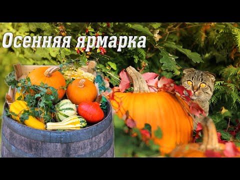 Видео: Осенняя ярмарка! Осенний утренник подготовительной группы 2020 🎶