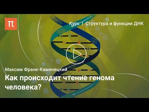 Видео: Определение последовательности ДНК — Максим Франк-Каменецкий