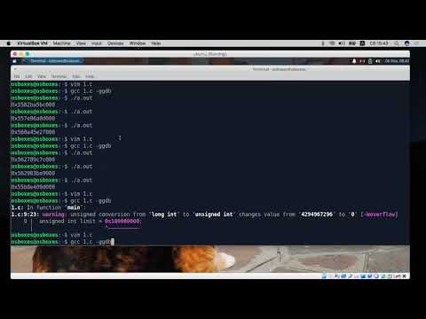 Видео: [Основы ОС, практика] Устройство памяти 2