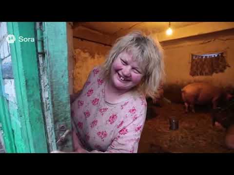 Видео: Фермер завёл свиней  в квартире на третьем этаже.