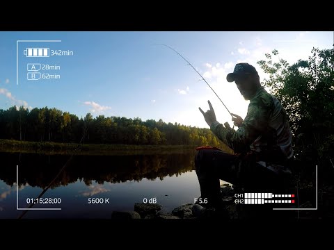 Видео: Радикальный микроджиг канала имени Москвы. Слаги и Окунь летом.