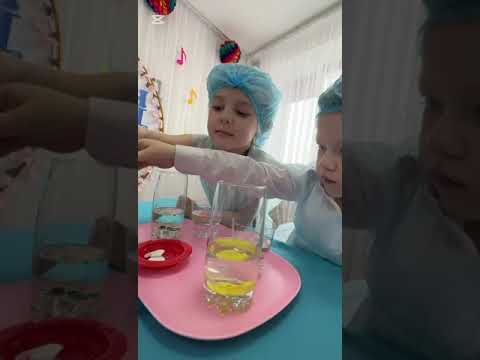 Видео: "Мен зерттеушімін"байқауы.