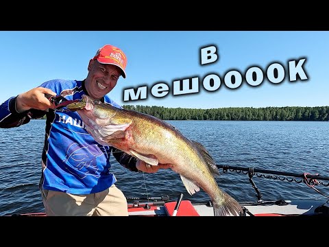 Видео: ЕСЛИ НЕ ВЕЗЁТ ТО ВСЕМ СРАЗУ!!! РЫБАЛКА НА УТРЕННЕЙ ЗОРЬКЕ!!!