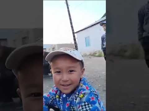 Видео: Хасан брат акардионду езди