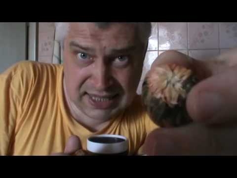 Видео: Кактусовый чай из розовых лепестков цветов кактуса — Геннадий Горин