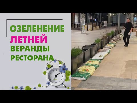 Видео: Озеленение летней веранды ресторана в центре Москвы. Лаванда, гортензии, масштабные пересадки.