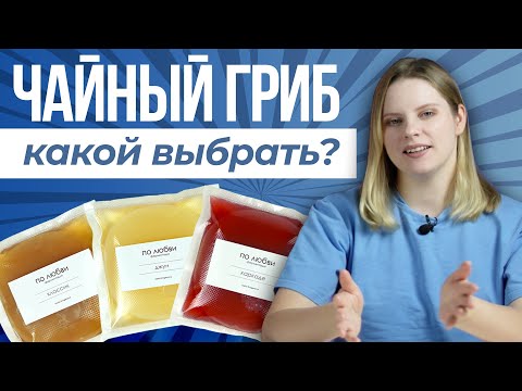 Видео: Виды чайных грибов / классик, джун, каркаде