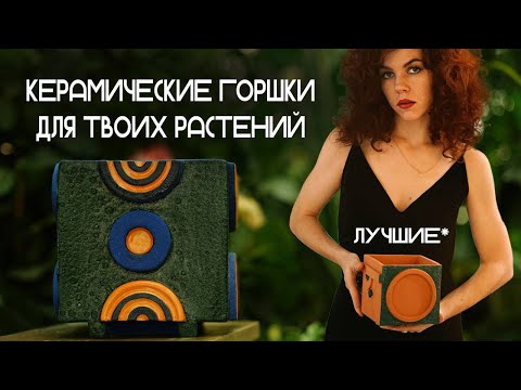 Видео: Горшки для цветов из керамики ручной работы: Красота и польза.Пересадка и наша история Treeoxa.