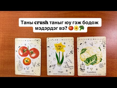 Видео: Таны crush таныг юу гэж бодож мэдэрдэг вэ? 🍅🌼🥦 | Хайр дурлалын мэргэ 