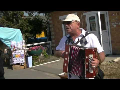 Видео: Слава играет авторскую на гармони