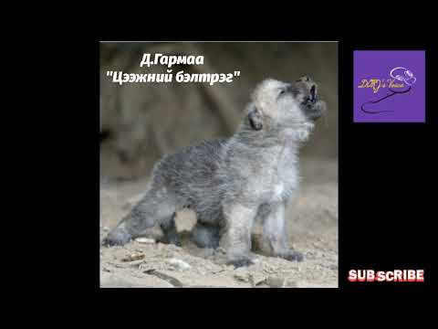 Видео: Д.Гармаа "Цээжний бэлтрэг" өгүүллэг