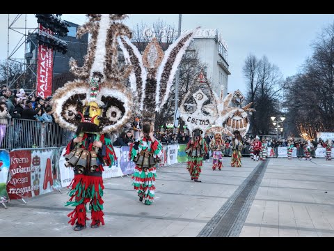 Видео: СВЕТЛЯ SURVA 2025