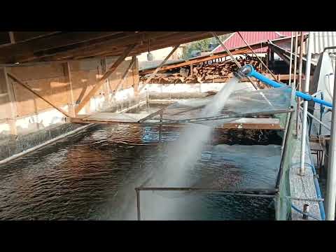 Видео: Мына сага бул аппарат менен Уй шартында балык багуу оной