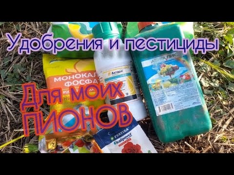 Видео: Удобрения и пестициды для моих пионов. То, что я применяю.