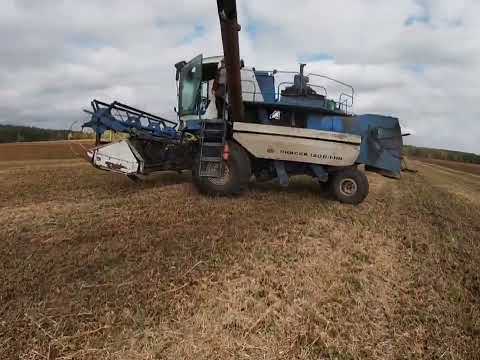 Видео: Уборка Демо сои. село Саполга