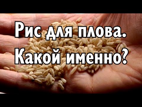 Видео: Рис для вкуснейшего плова | Какой именно? 2025.