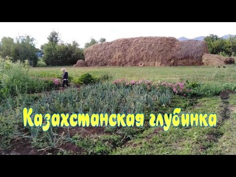 Видео: Некрасовка. Казахстанская глубинка..