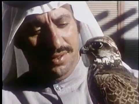 Видео: Клуб путешественников. Аравия