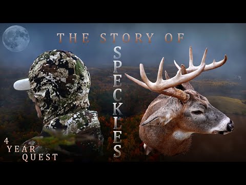 Видео: Самый неуловимый олень, на которого я когда-либо охотился | Белохвостый олень 6 с половиной лет |...