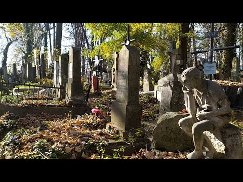 Видео: Дрогобич: Цвинтар на Трускавецькій 1 листопада 2021 р.