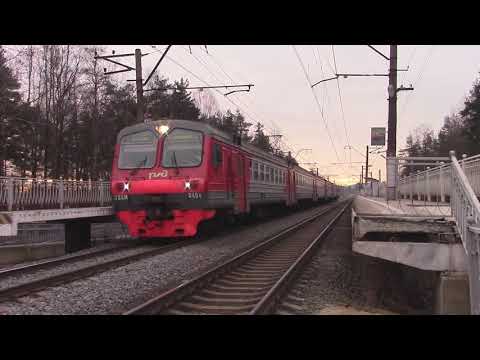 Видео: Железнодорожный микс #4 - о.п. 39 км.