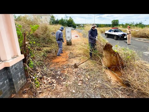 Видео: Тротуар, на 100% захваченный СОРНЯКАМИ, был очищен и идеально ПРЕОБРАЖЁН удивительным образом