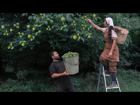 Видео: Каждый из них подобен черной жемчужине, собирающей незрелые грецкие орехи и делающей варенье!