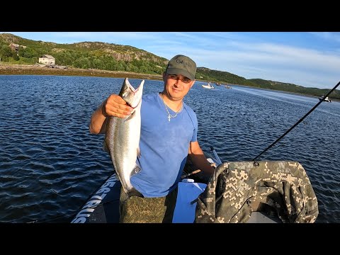 Видео: ГОРБУША С ЛОДКИ / Humpback salmon from the boat