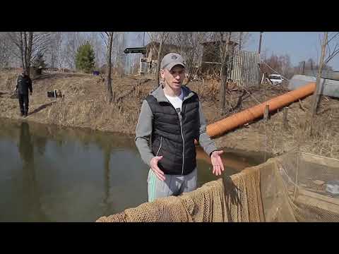 Видео: ПЛАТНАЯ РЫБАЛКА В ПОДМОСКОВЬЕ КАК БИЗНЕС. ПРОБЛЕМЫ, ЗАДАЧИ И ИХ РЕШЕНИЕ.