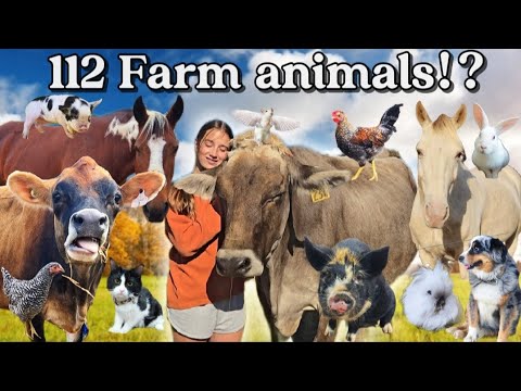 Видео: На нашей ФЕРМЕ обитает более 100 ЖИВОТНЫХ. ПРЕВОСХОДНЫЙ ТУР ПО ФЕРМЕ!!