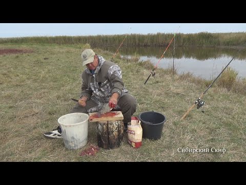 Видео: НАЛОВИЛ И ЗАСОЛИЛ РЫБУ НА БЕРЕГУ РЕКИ. РЫБАЛКА С НОЧЁВКОЙ. РЫБАЛКА НА КАРАСЯ. ШАШЛЫК НА ПРИРОДЕ