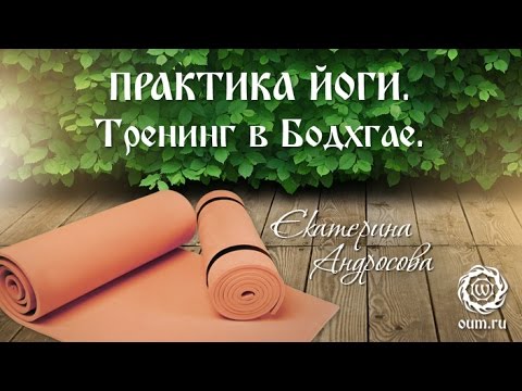 Видео: Практика йоги. Тренинг в Бодхгае.