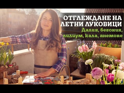 Видео: Отглеждане на летни луковици