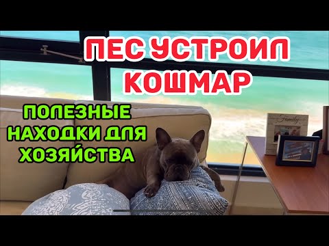 Видео: ЧЕМ АМЕРИКАНЦЫ ЧИСТЯТ ДИВАНЫ.ДЕЛИМСЯ НАХОДКАМИ ДЛЯ УЛУЧШЕНИЯ ЖИЗНИ. КАК ОЧИСТИТЬ ВСЕ ПЯТНА