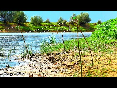 Видео: Рыбалка на закидушки. Жмых (макуха) на сазана, карася. Судак. Рыбалка на мотоцикле Suzuki dr-z 400