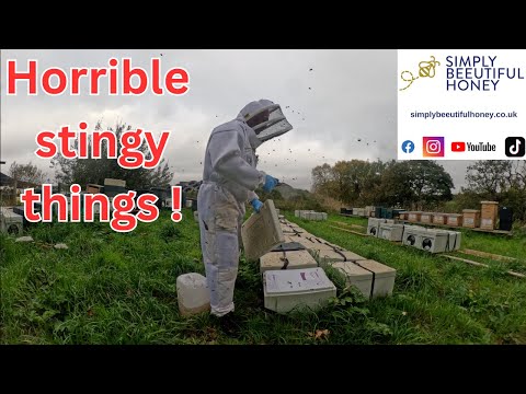 Видео: Просто прекрасный мёд, ужасные пчёлы, массовая зимняя подкормка