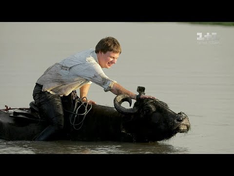 Видео: Как управлять буйволом и гастрономический кошмар Маражо. Бразилия. Мир наизнанку 10 сезон 32 выпуск