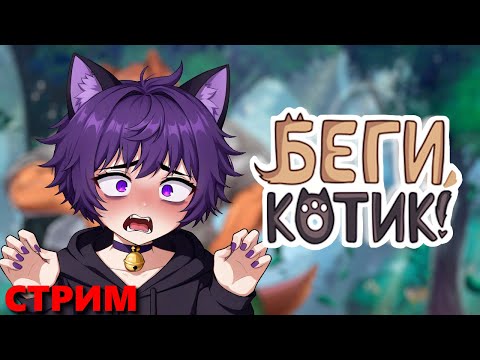 Видео: Стрим по Беги Котик | Проходим игру заново от начала и до конца