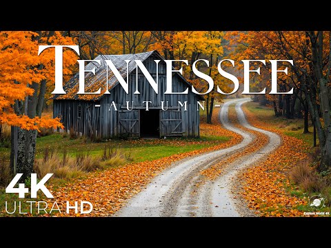 Видео: 🍁Осень в Теннесси 4K UHD — откройте для себя волшебство южной осени🌇