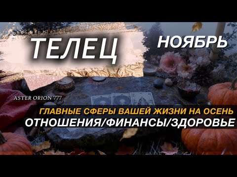 Видео: ♉️ ТЕЛЕЦ  ✨️ НОЯБРЬ 2025 ✨️  Все сферы жизни и рекомендации
