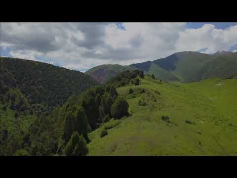 Видео: Кызыл-Белес, верх "Малинового" ущелья. 19.06.21. Kyzyl-Beles, the top of the "Raspberry" gorge.