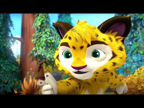 Видео: Лео и Тиг - Победители - Сборник мультфильмов