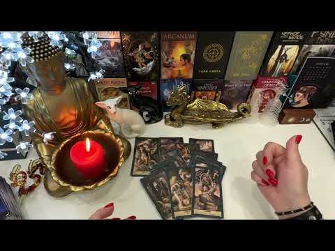 Видео: 😱😭БУМЕРАНГ ЗМЕЕ‼️ПРИГОВОР ОКОНЧАТЕЛЬНЫЙ,ОБЖАЛОВАНИЮ НЕ ПОДЛЕЖИТ‼️