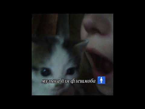 Видео: музыка для флешмоба