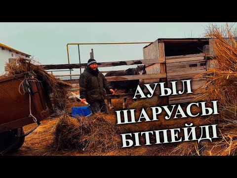 Видео: Ауыл шаруасы бітпейді, рулон пішенді жерге түсіріп. Жылқыларды мұздай судан өтікіздік.