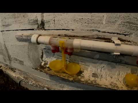 Видео: Курятник для содержания кур несушек