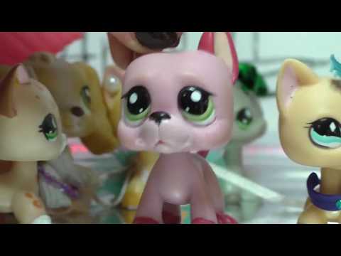 Видео: LPS -Вечеринка для актеров