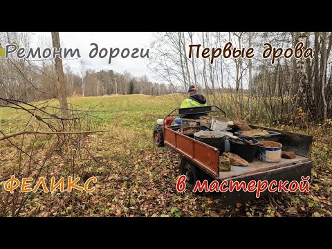 Видео: Ремонт дороги.Феликс.Дрова.В мастерской.